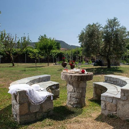 Villa Tsitreli Sykia Chalkidikis Luaran gambar