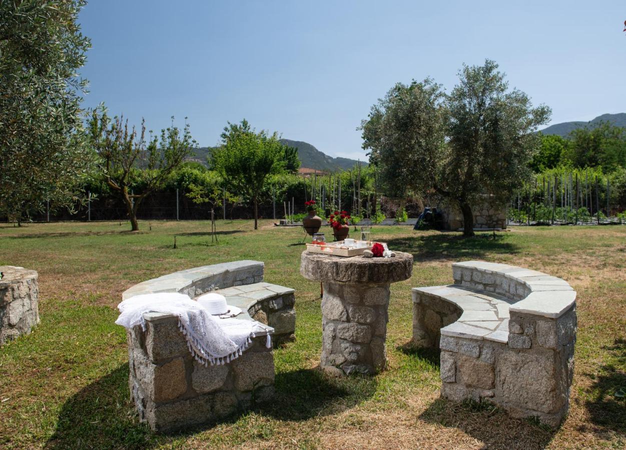 Villa Tsitreli Sykia Chalkidikis Luaran gambar