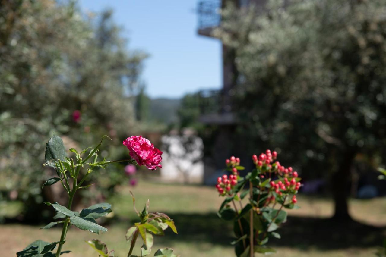 Villa Tsitreli Sykia Chalkidikis Luaran gambar