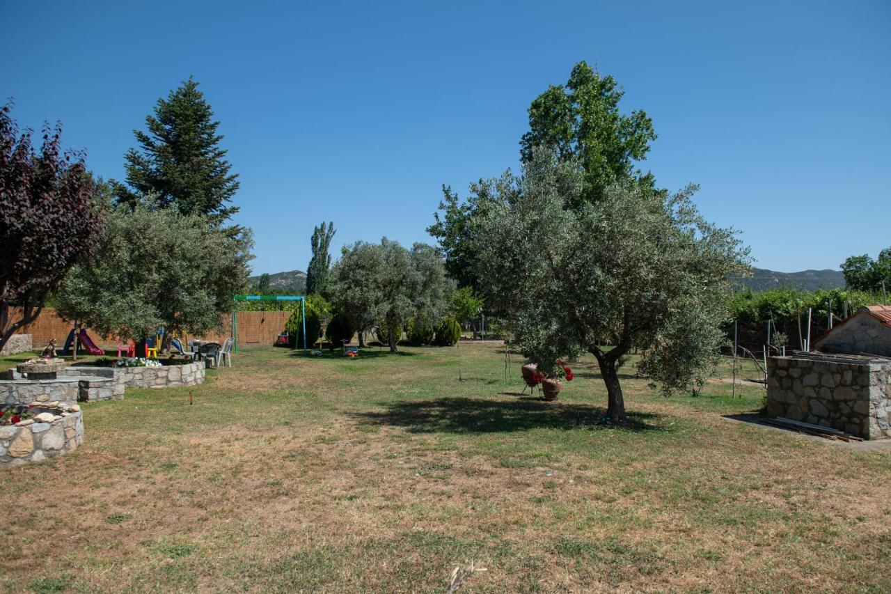Villa Tsitreli Sykia Chalkidikis Luaran gambar