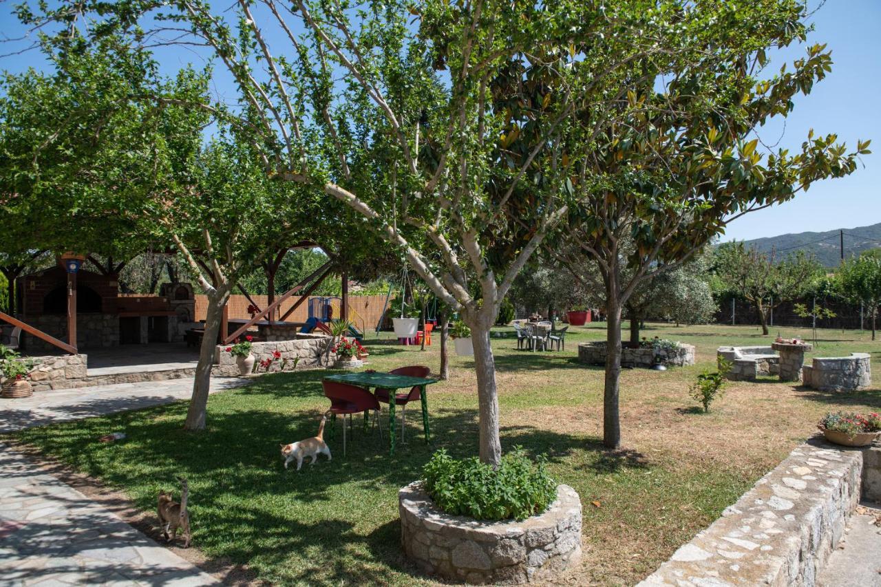 Villa Tsitreli Sykia Chalkidikis Luaran gambar