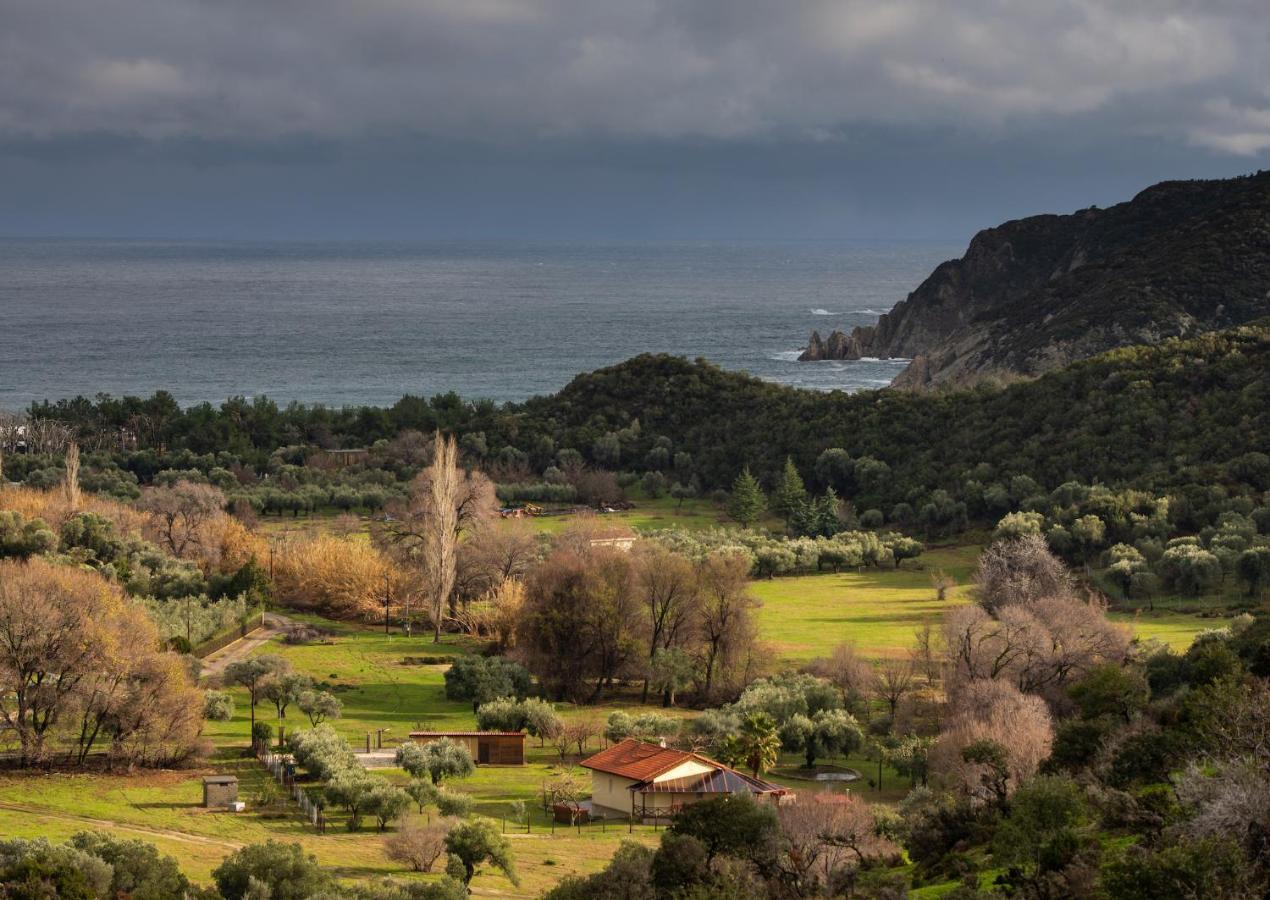 Villa Tsitreli Sykia Chalkidikis Luaran gambar