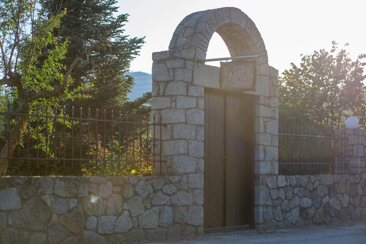 Villa Tsitreli Sykia Chalkidikis Luaran gambar
